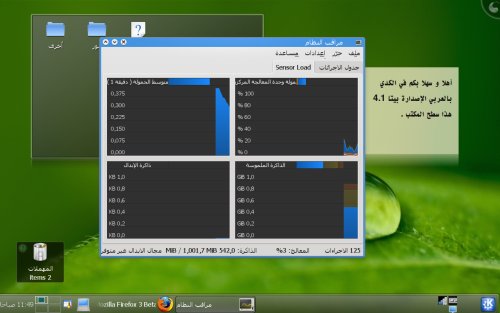 مراقب النظام